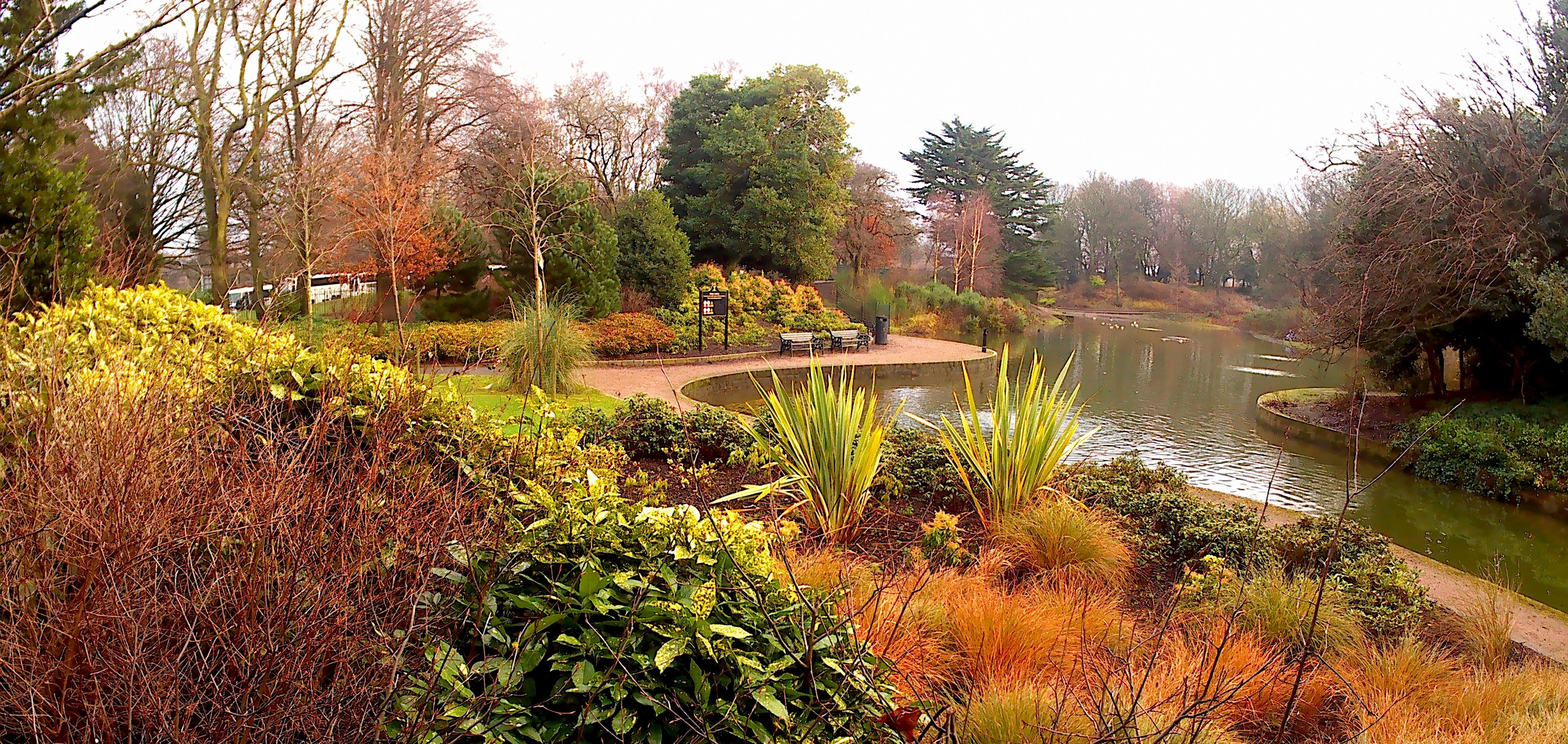 Winding path beside a lake in autumn colours