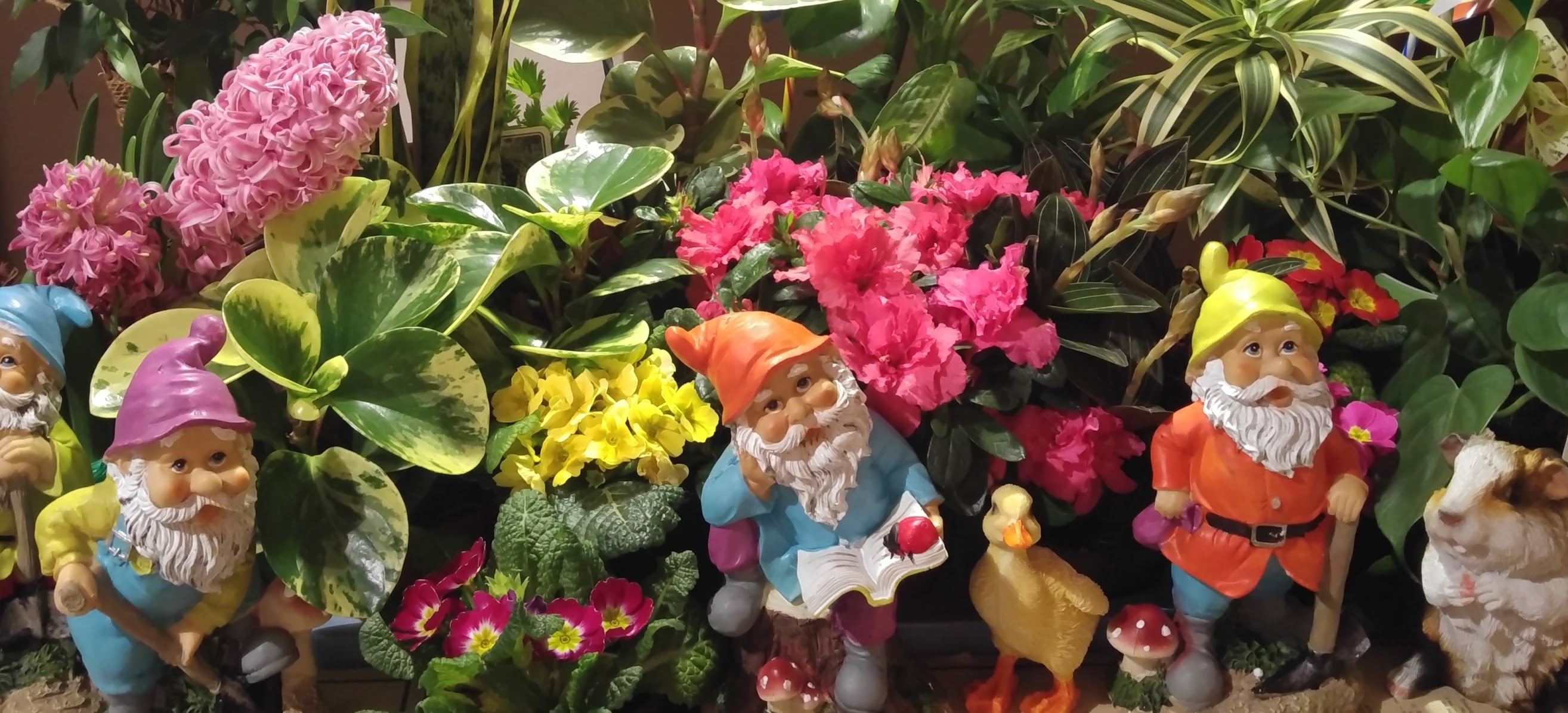 Colourful garden gnomes among flowers