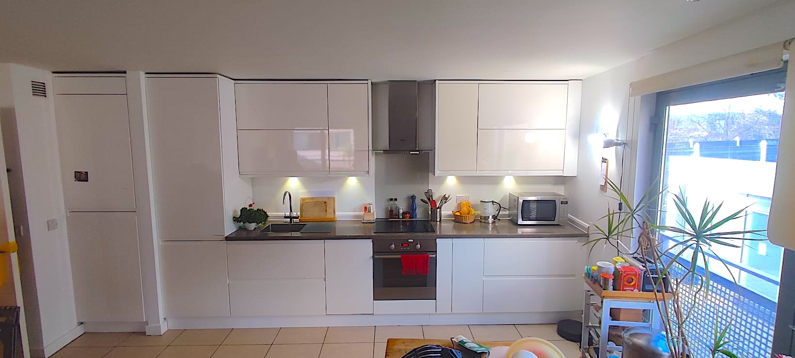 Bright kitchen with balcony access and plant