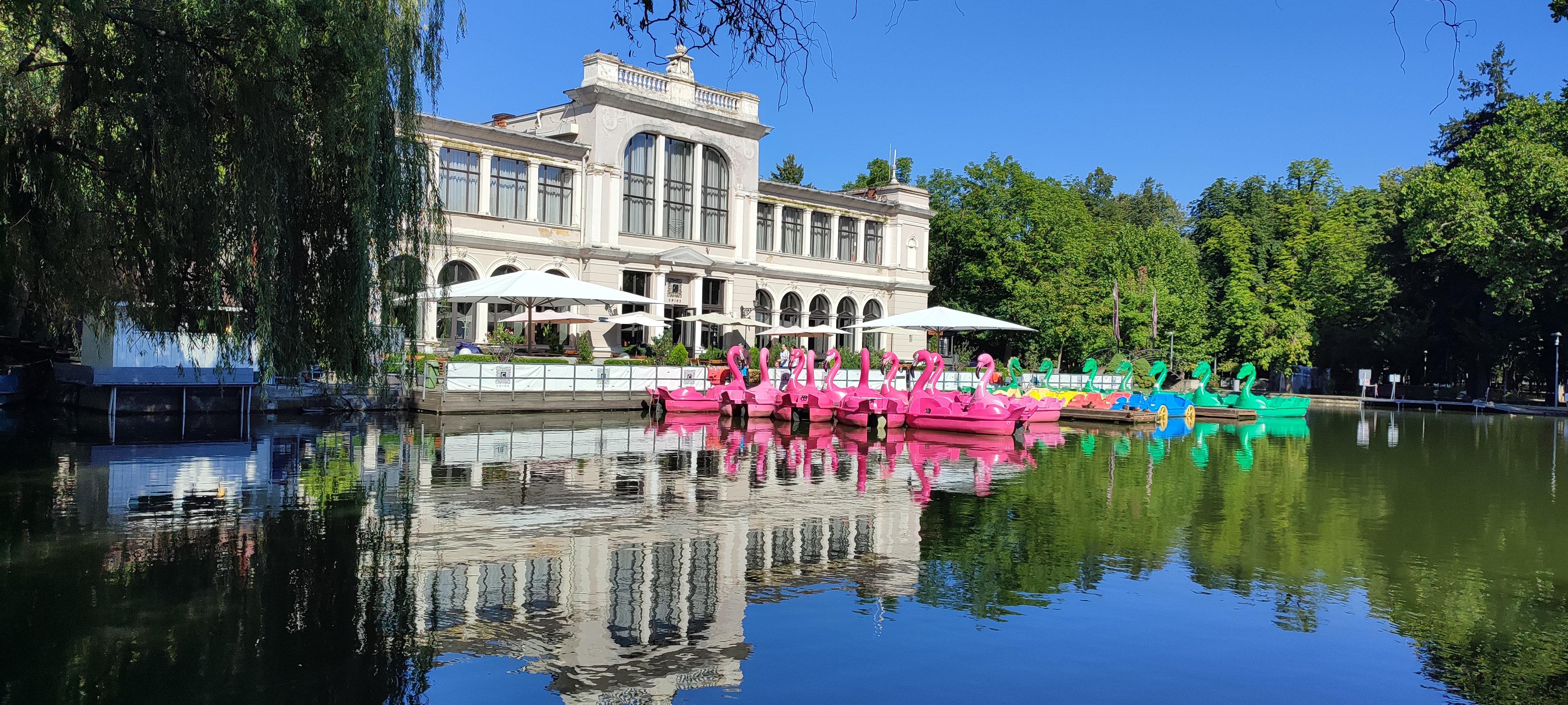 Swan pedal boats on a lake beside a grand building