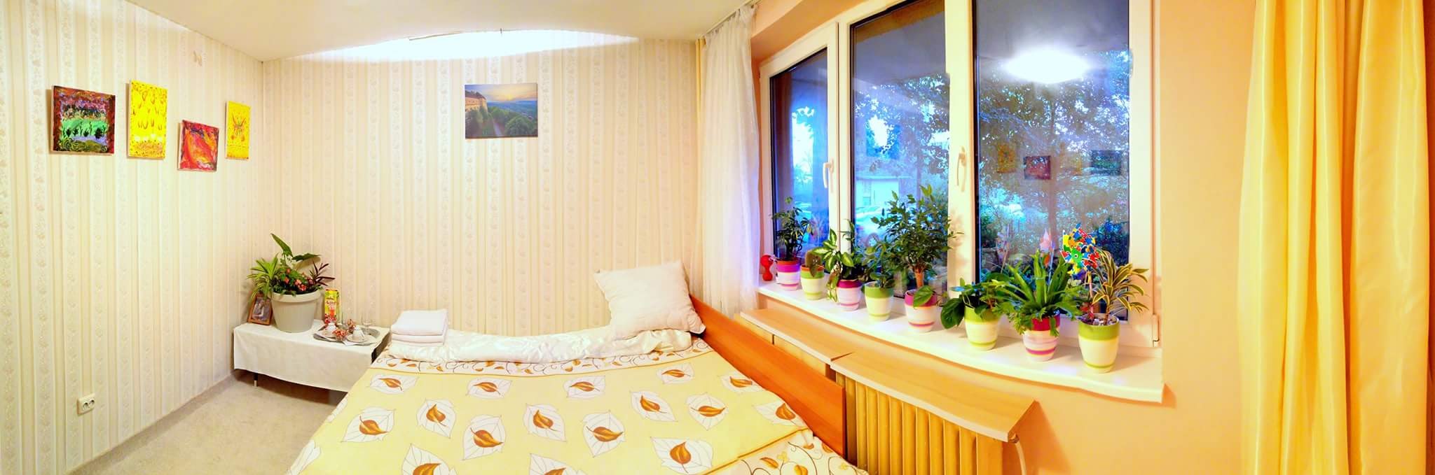 Bright bedroom in Romania with plants and warm tones